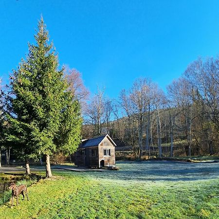Insolite Tiny House Serenite Bien Etre Ban-sur-Meurthe-Clefcy Exterior foto