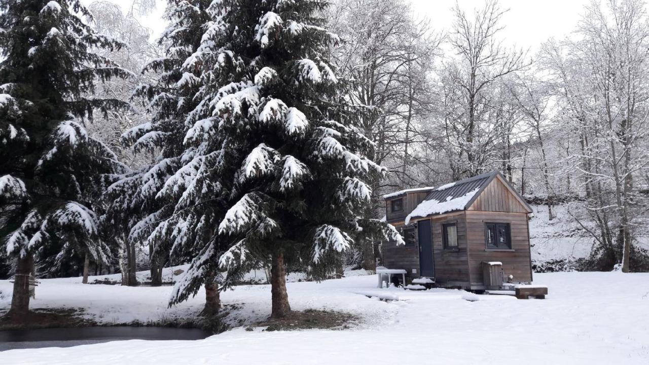 Insolite Tiny House Serenite Bien Etre Ban-sur-Meurthe-Clefcy Exterior foto