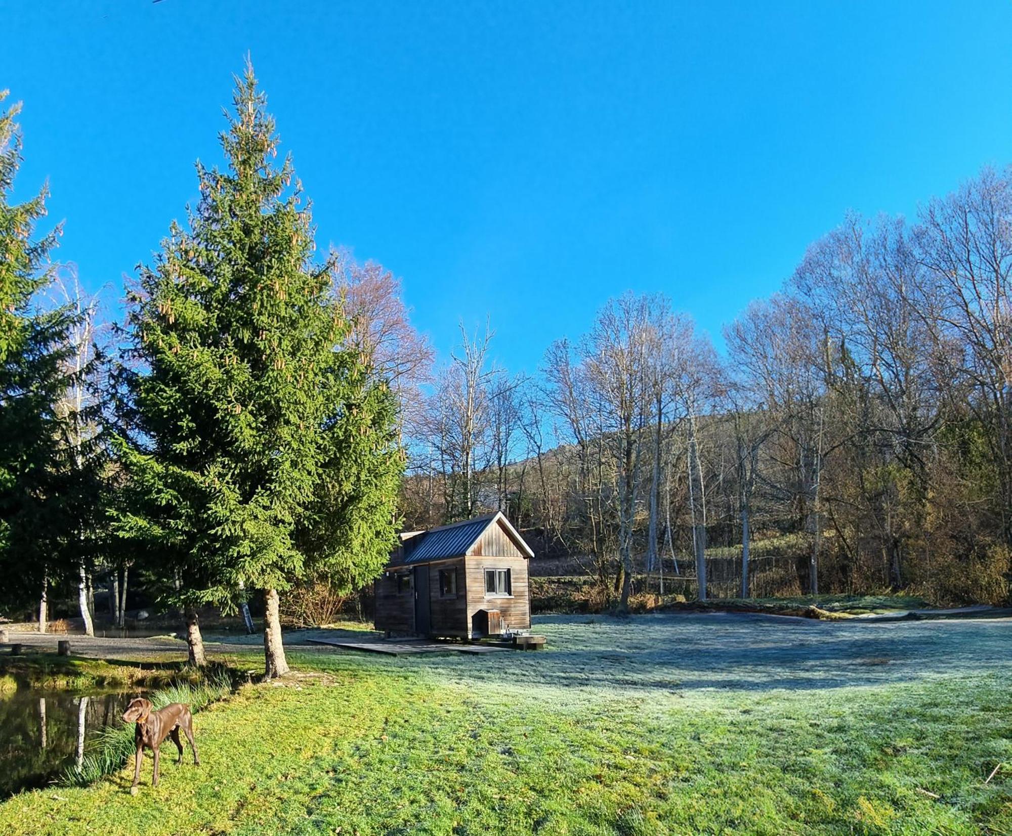 Insolite Tiny House Serenite Bien Etre Ban-sur-Meurthe-Clefcy Exterior foto
